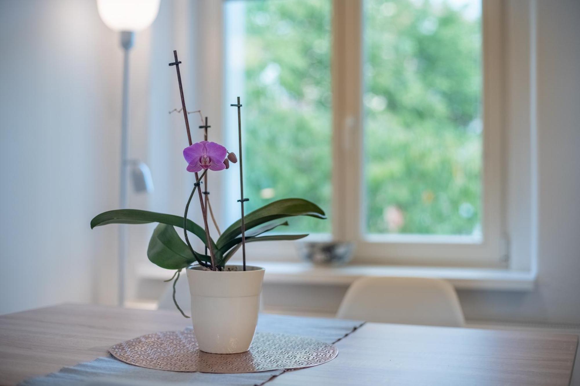 Apartment Gala V Secesni Soukrome Parkovani U Domu Zdarma *